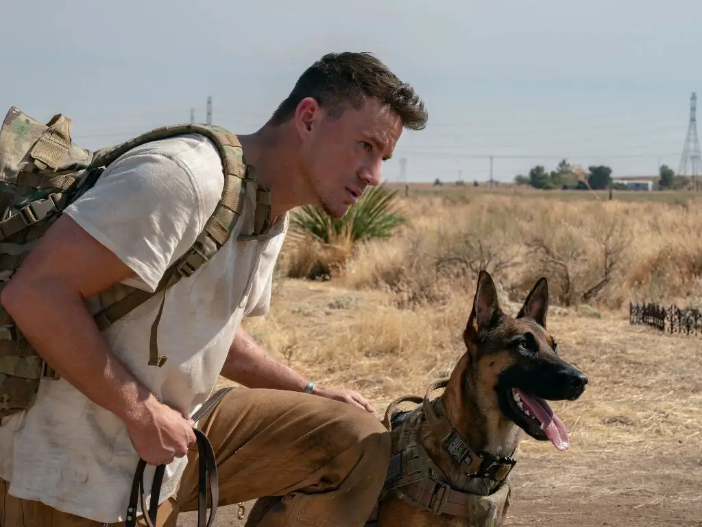 dog movie plot follows soldier and military dog