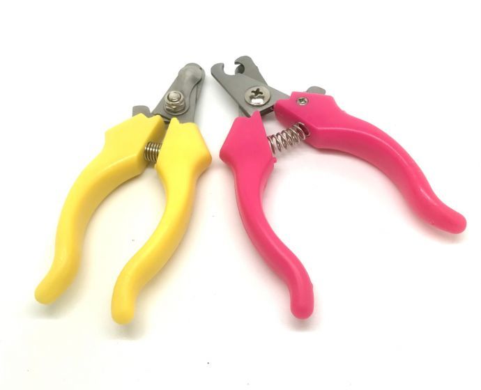 dog nail clippers and supplies