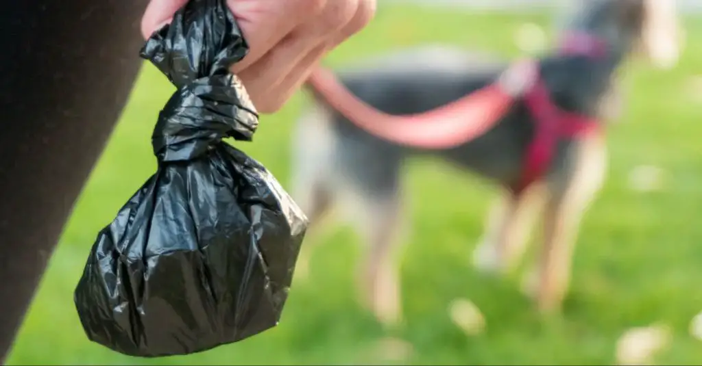 dog poop bag in landfill