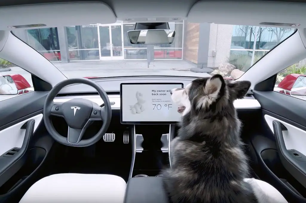 dog relaxed in climate-controlled tesla