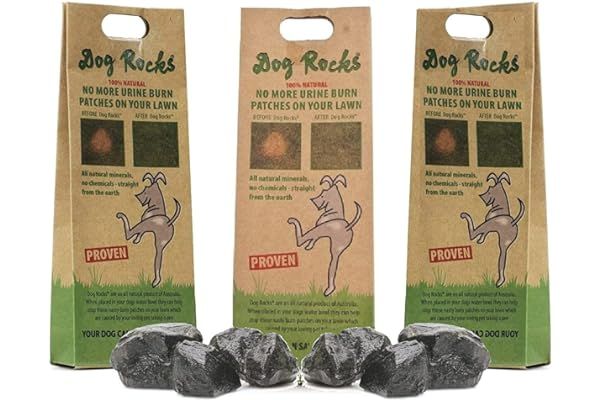 dog rocks remove minerals that cause stains