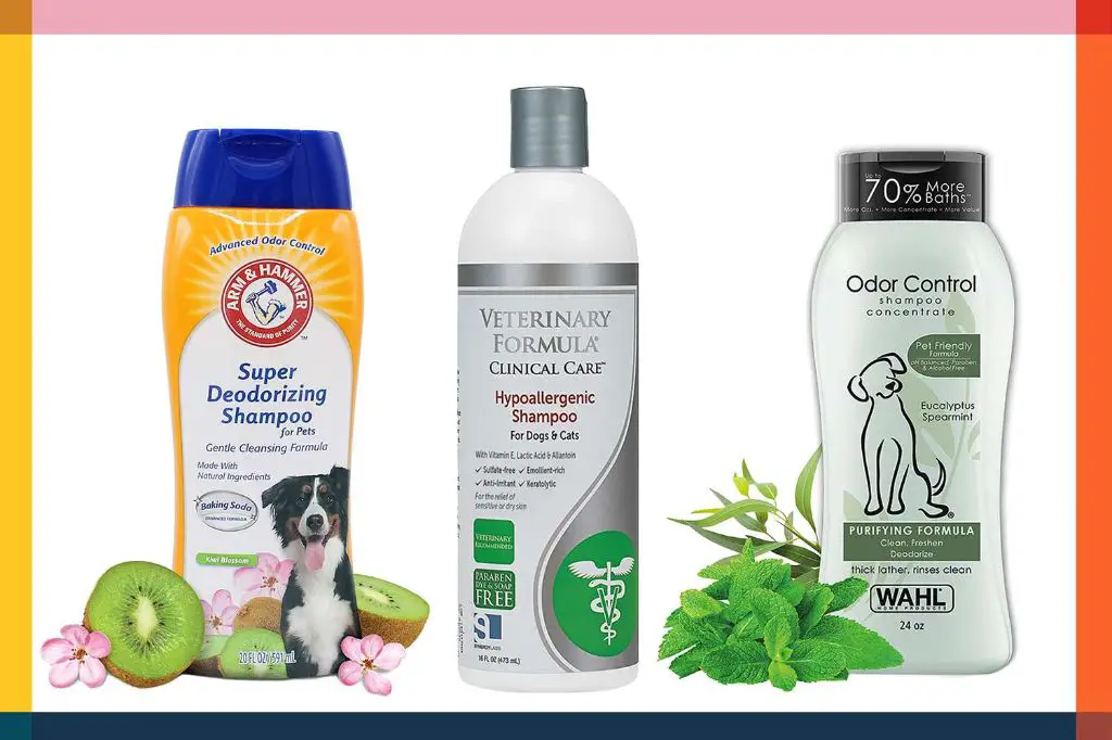 dog shampoo and conditioner bottles