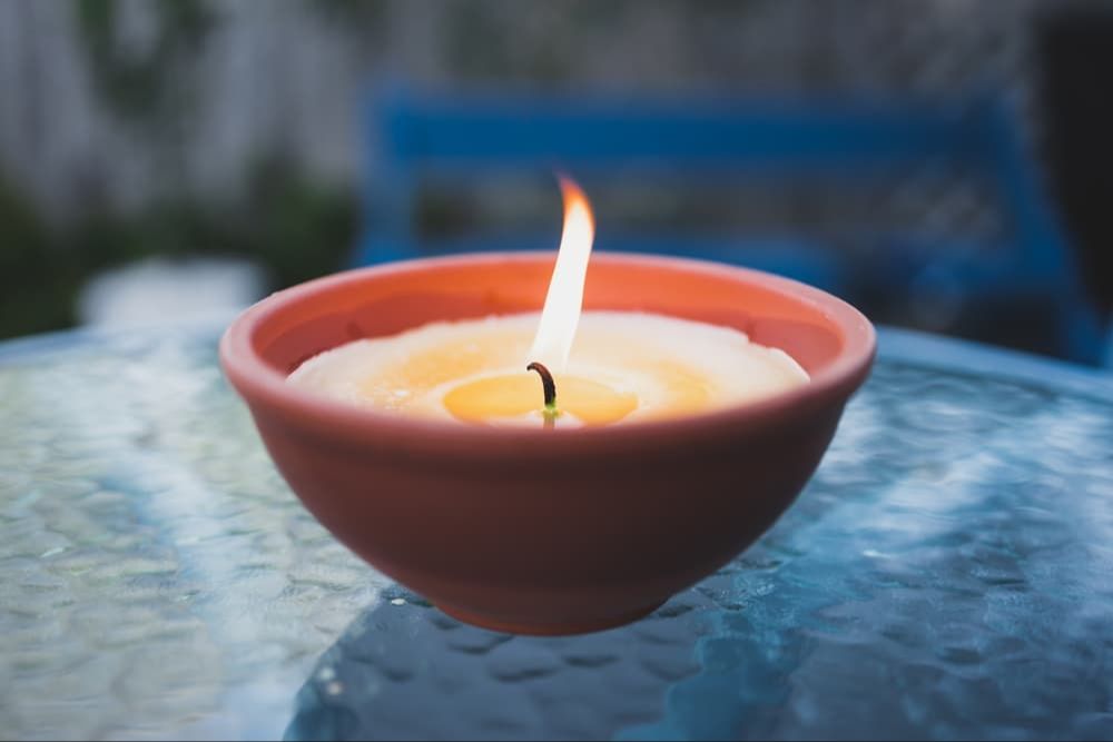 dog sniffing citronella candle