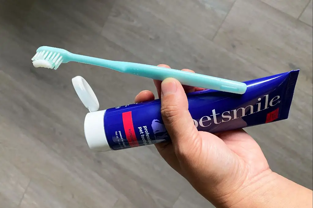 dog toothpaste on toothbrush