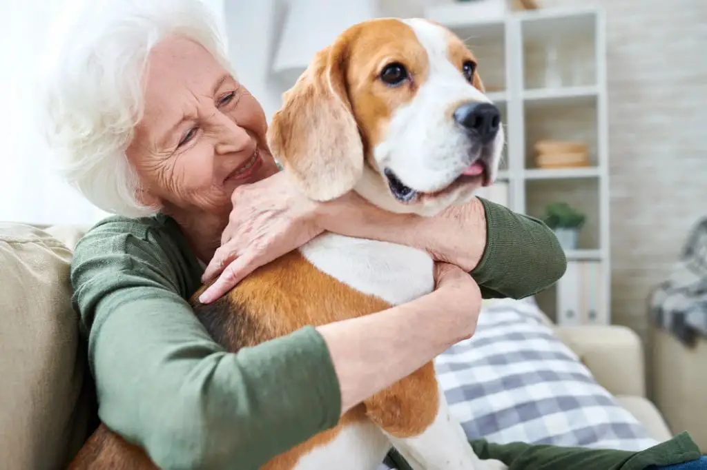 dogs alleviate loneliness