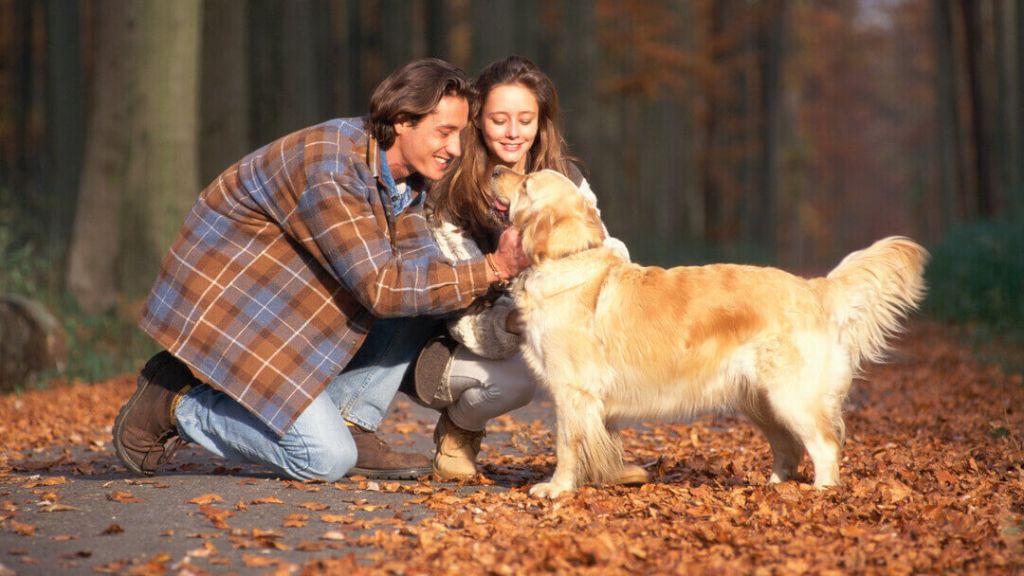 dogs as loyal romantic partners