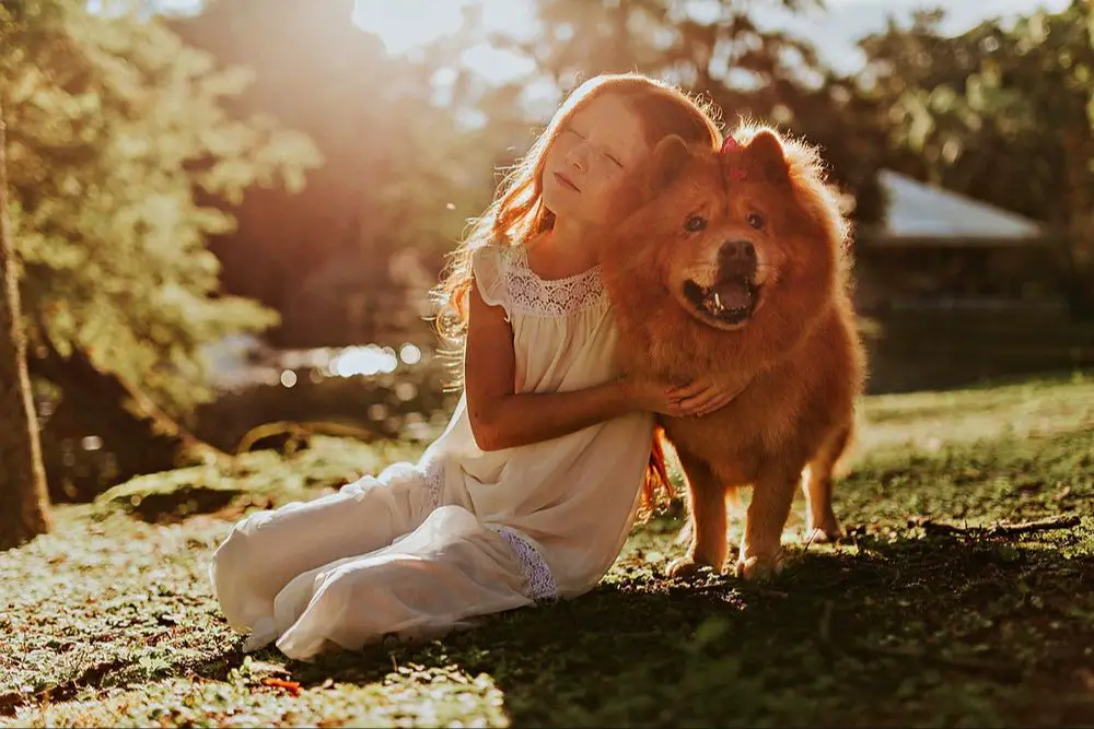 dogs can buffer stress response