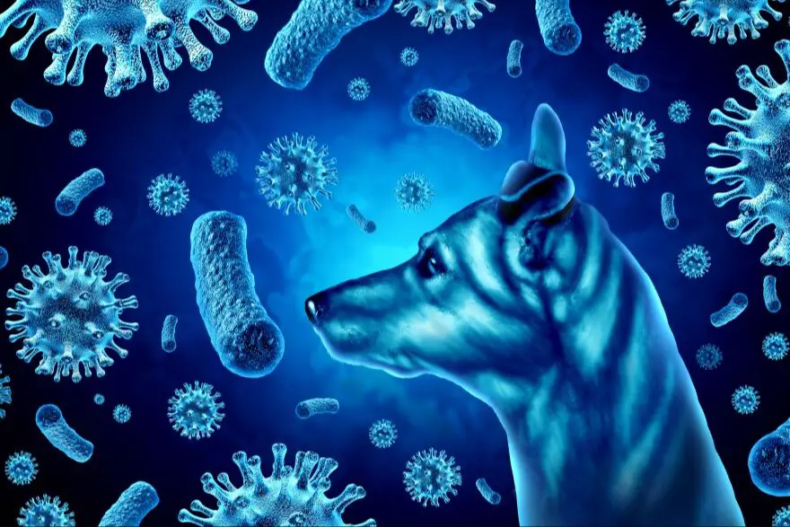 dogs expose you to diverse microbes