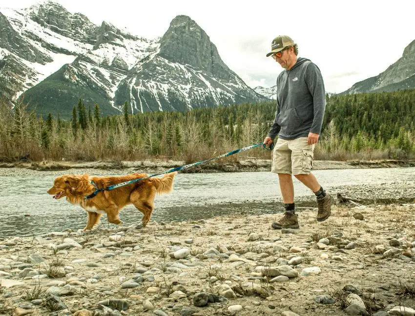 dogs get you outdoors exploring nature more