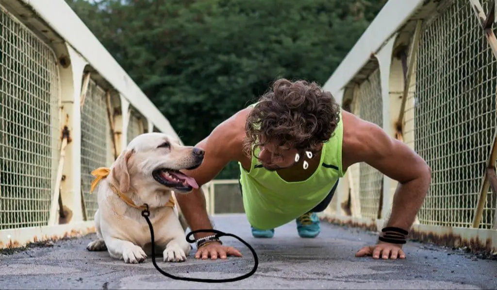 dogs motivate daily exercise