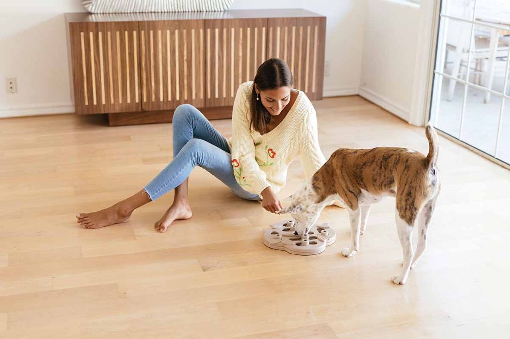 dogs playing on laminate flooring in a living room area.