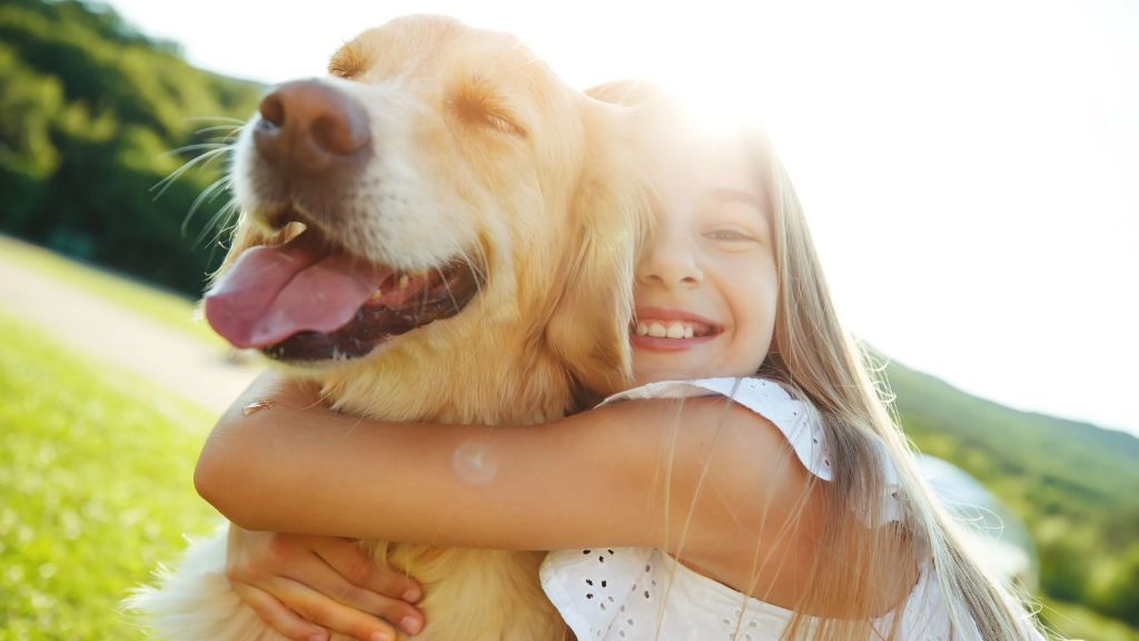 domesticated dogs view their human caregivers as their pack.