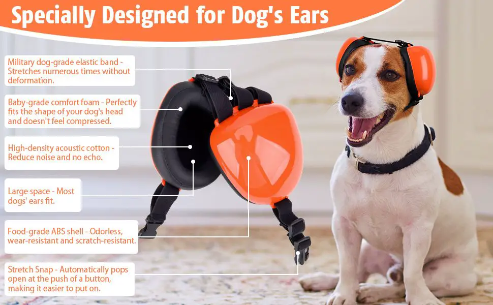 ear protection devices like ear plugs that can prevent hearing damage from loud noises