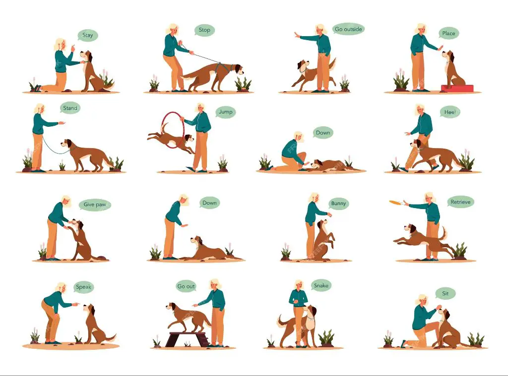 effective training techniques to reduce barking