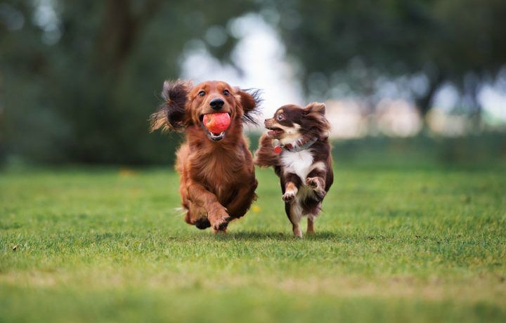 encourage active play during park visits