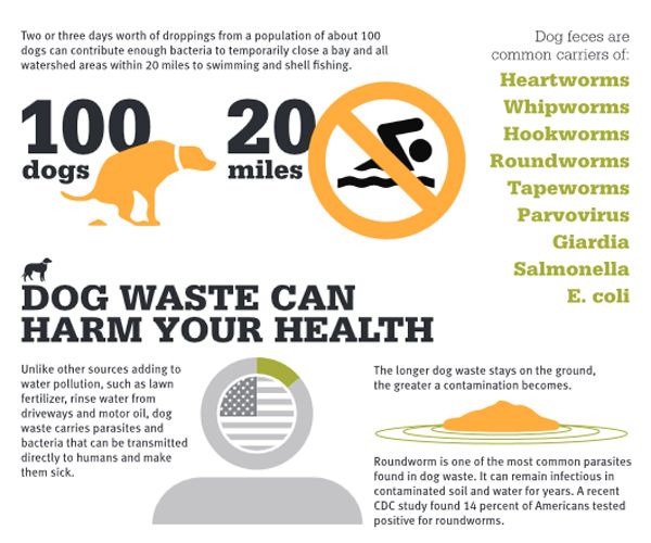 environmental impact of leaving dog poop