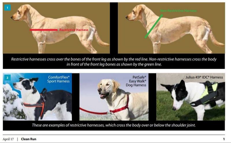 examples of highly rated dog harnesses that don't restrict shoulders