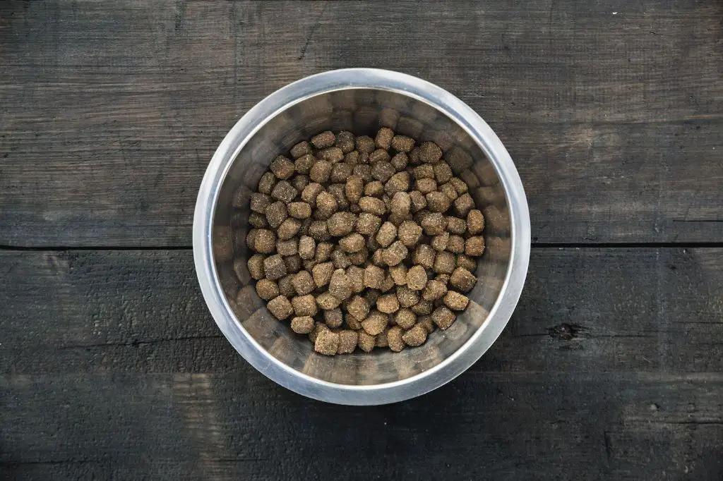 expiration dates help gauge dry dog food freshness