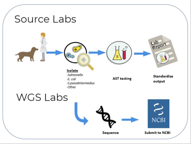 fda testing and root cause analysis