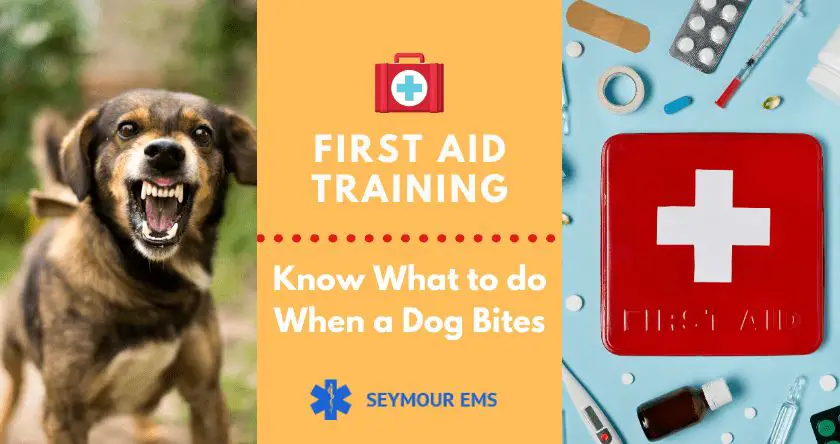 first aid supplies to treat and clean a dog bite