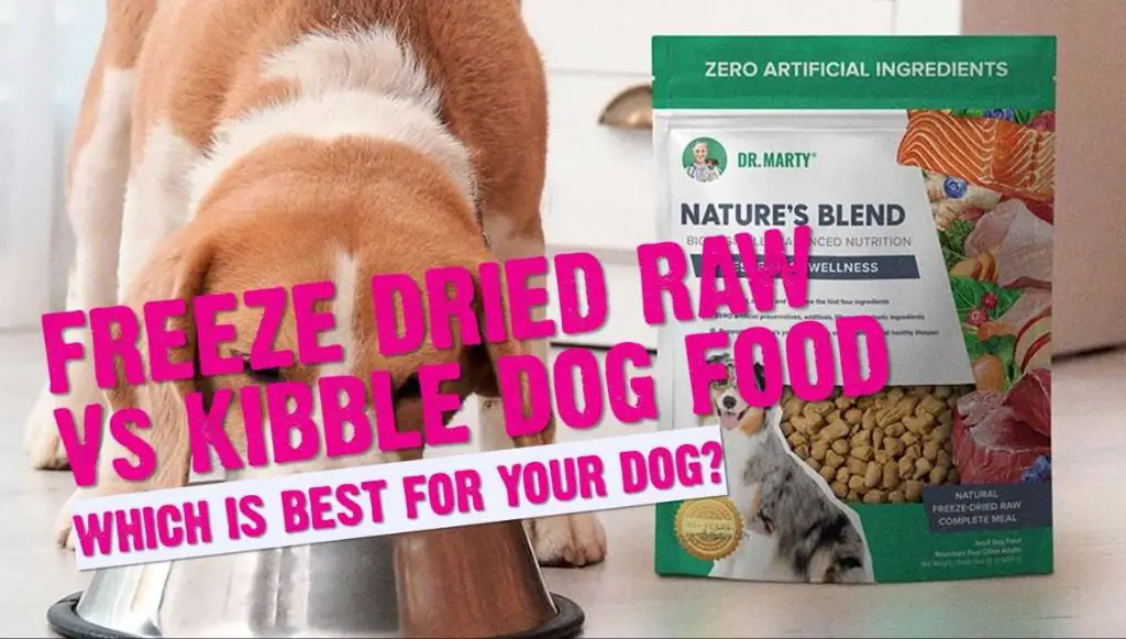 freeze dried dog food next to dry kibble