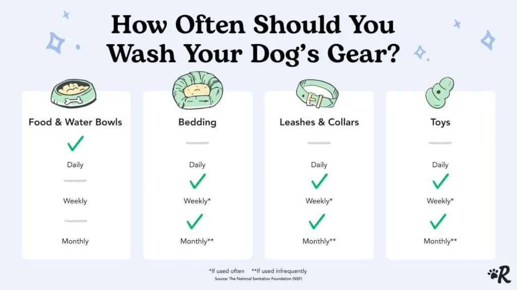 frequently wash dogs items and belongings