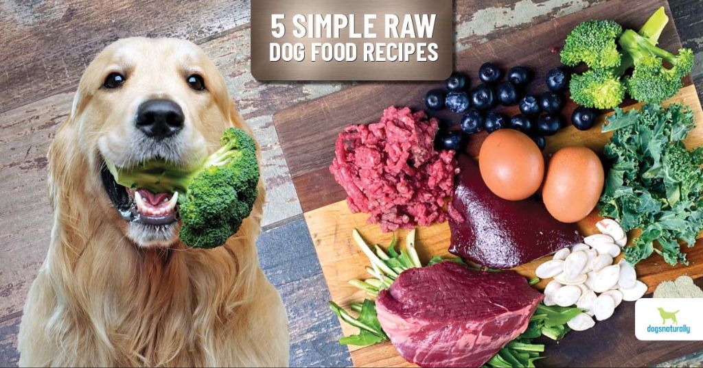 fresh raw dog food recipes