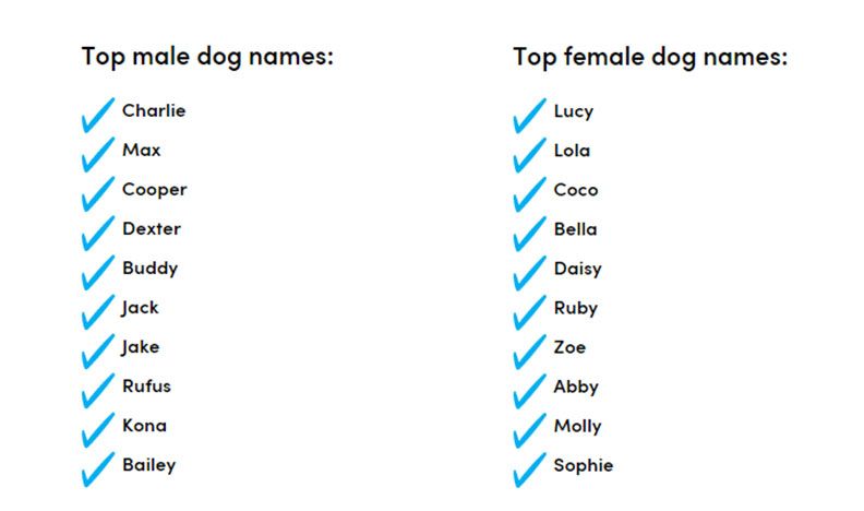 gender trends in naming dogs