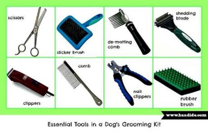 grooming tools and supplies