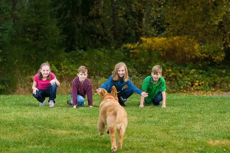 group of kids daring each other