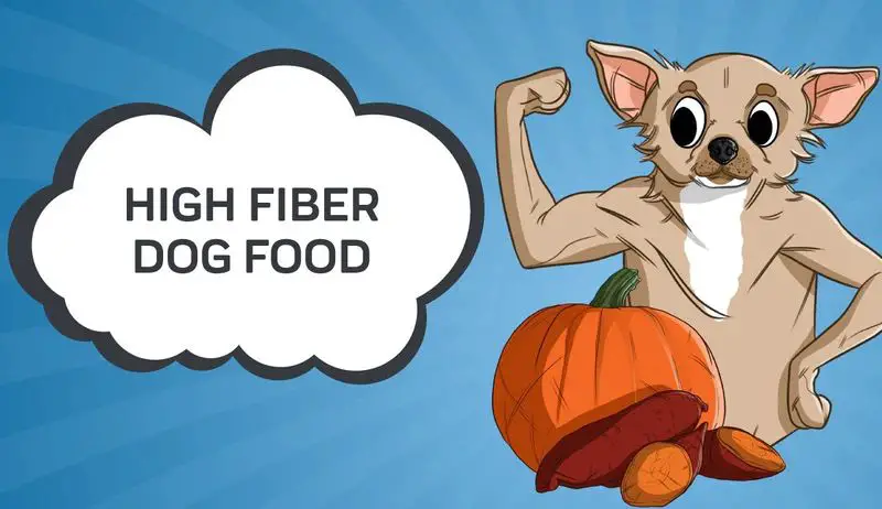 high fiber dog foods