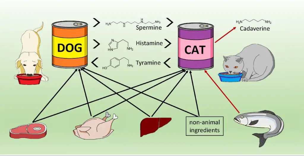 histamine receptors