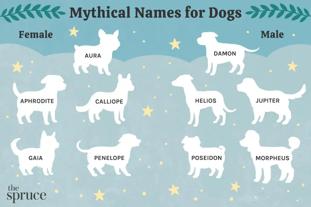 history of dog naming conventions