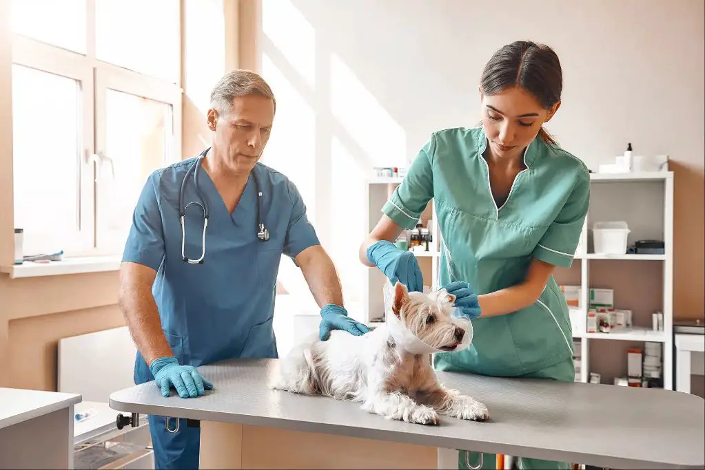 hospital patient receiving urgent treatment