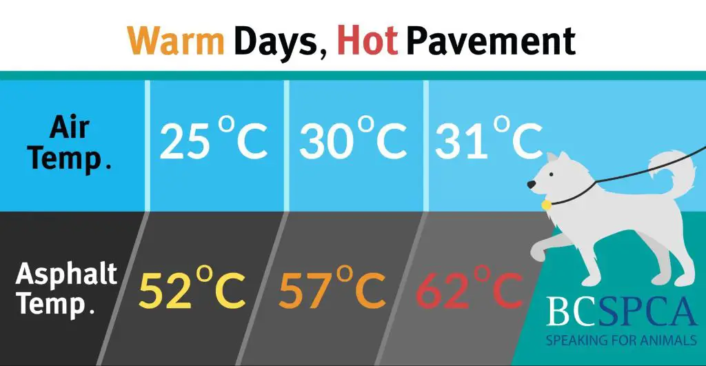 hot pavement raises body temperature and risks heatstroke