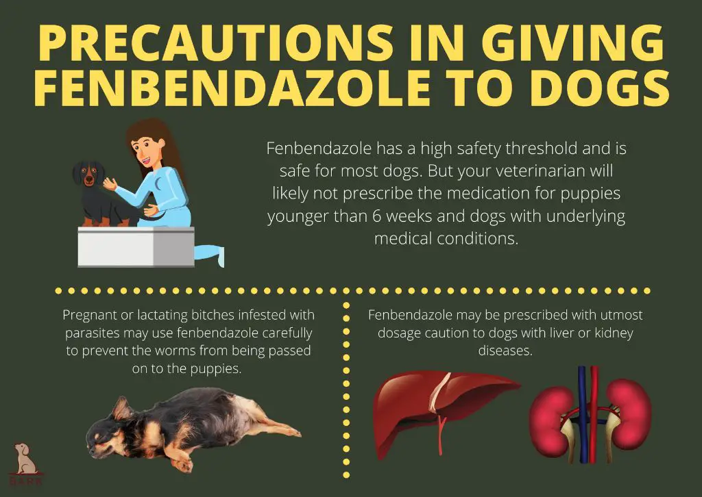 how fenbendazole works against parasites