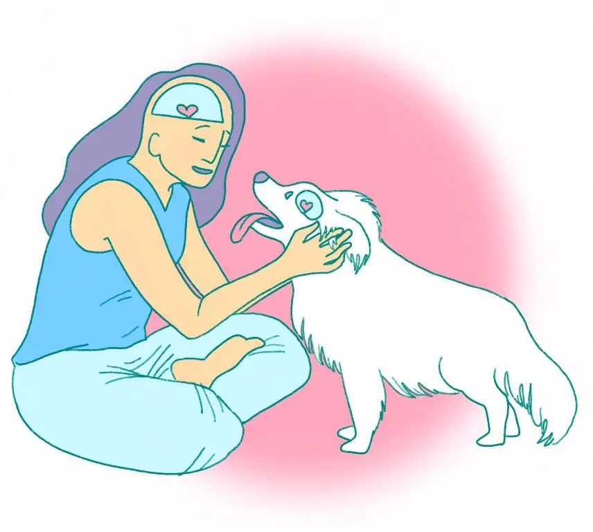 human and dog bonding through oxytocin