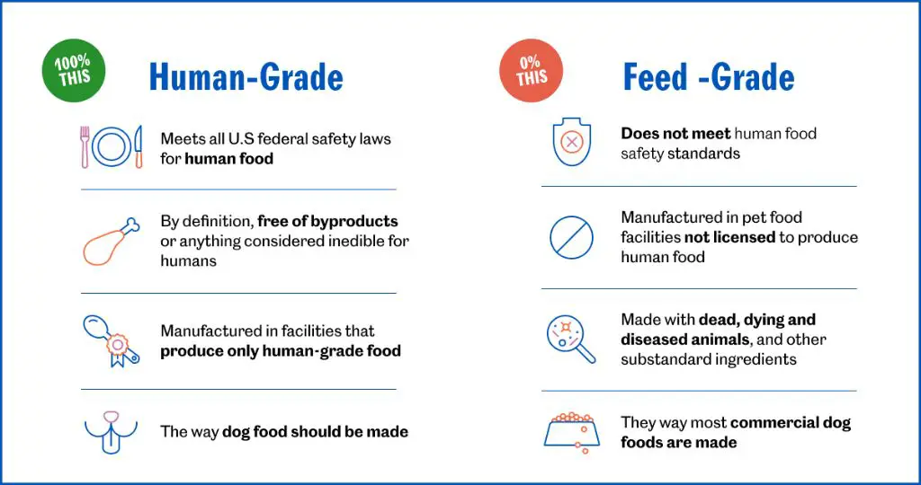 human grade dog food identification tips