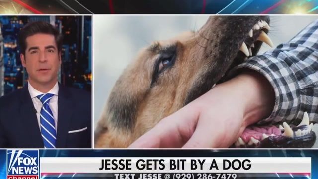 jesse watters during a fox news broadcast
