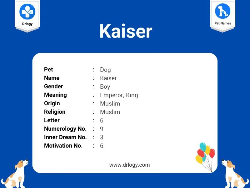 kaiser means emperor or leader