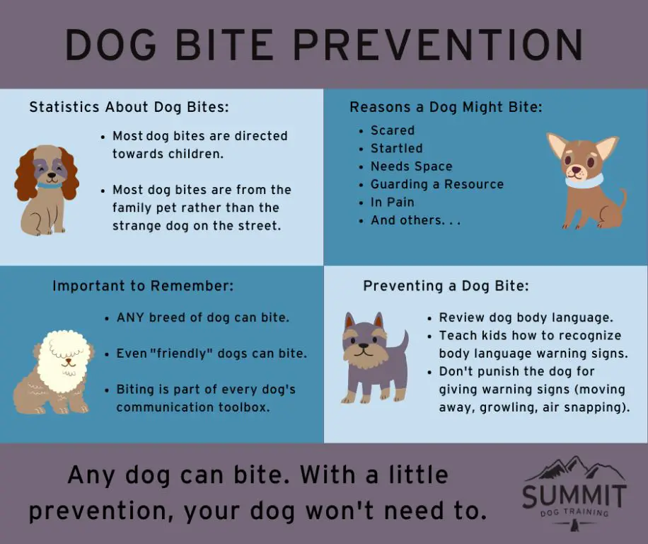 key risk factors for dog bites