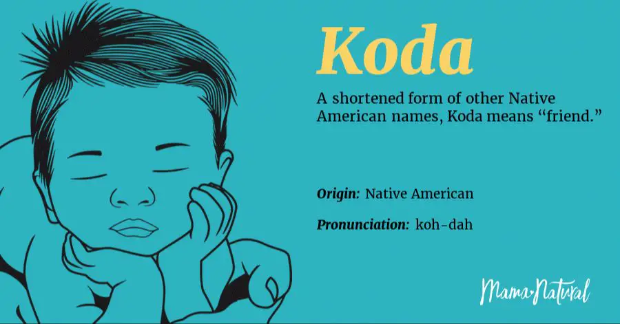 koda means companion in native american