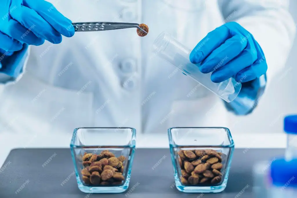 lab technicians testing pet food samples