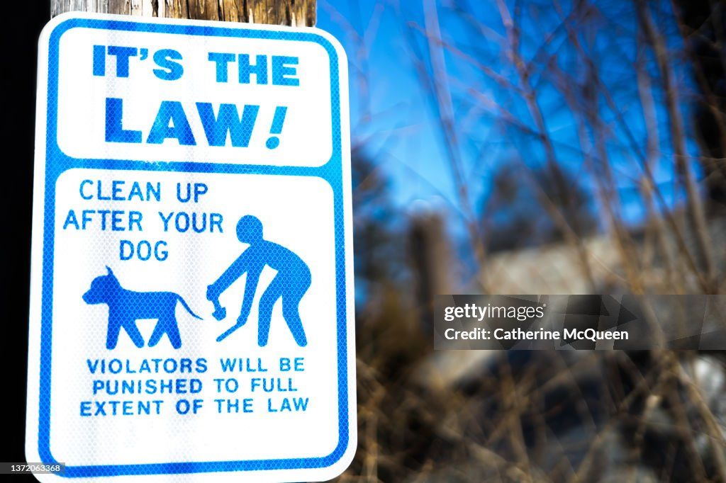 laws require owners to clean up dog poop