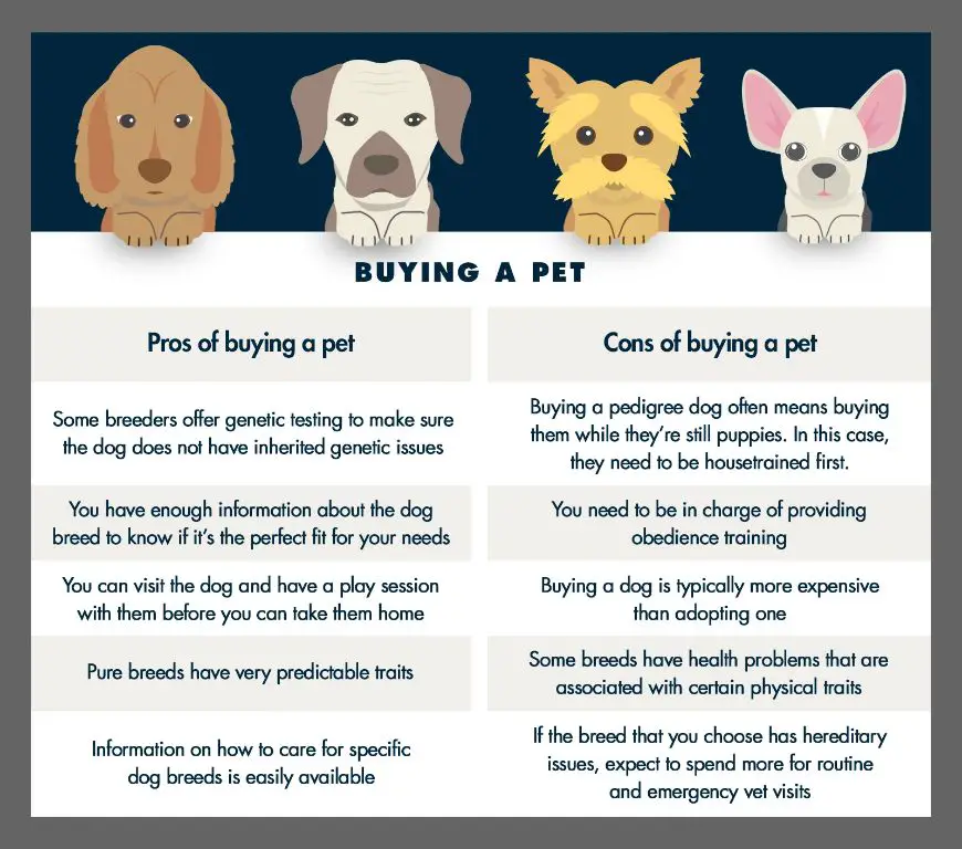 lifestyle considerations for dog ownership