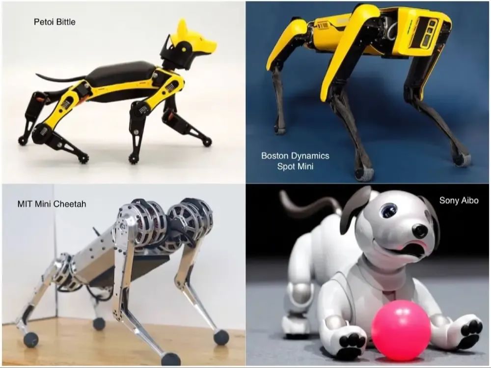 main consumer robot dogs compared