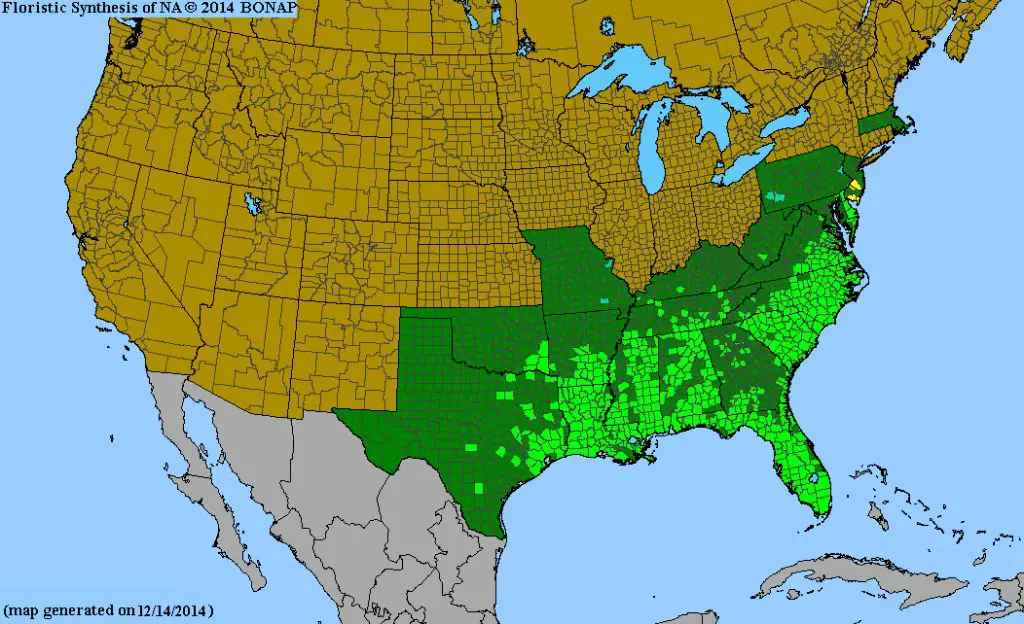 map showing dog fennel distribution