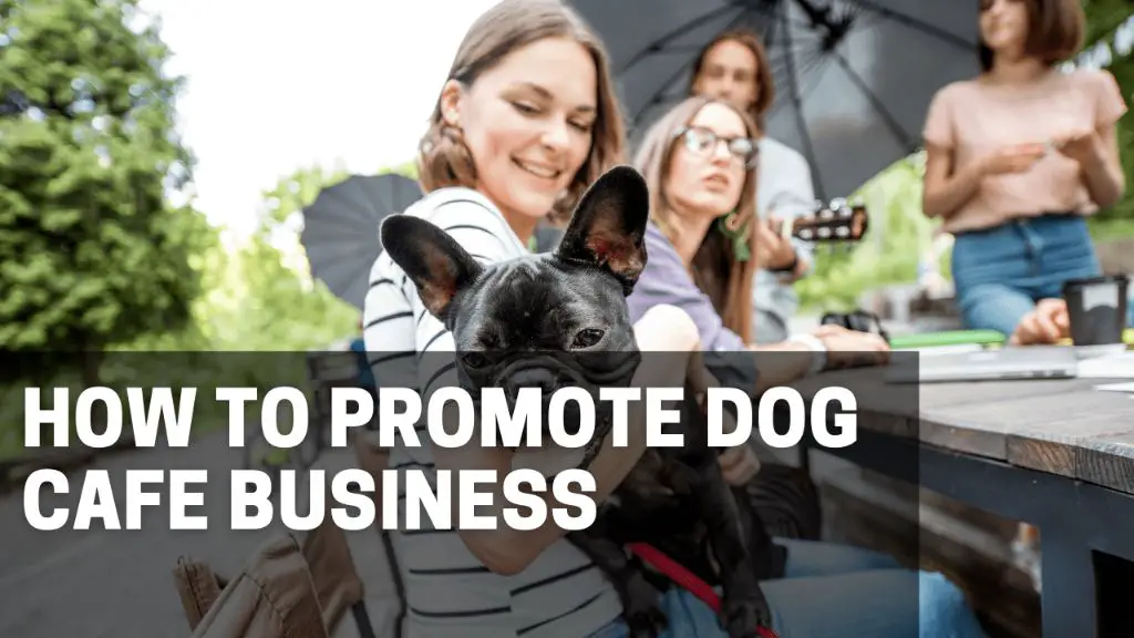 marketing dog cafe on social media