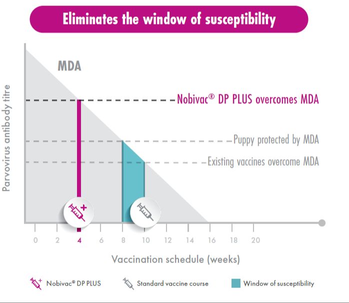 maternal antibodies