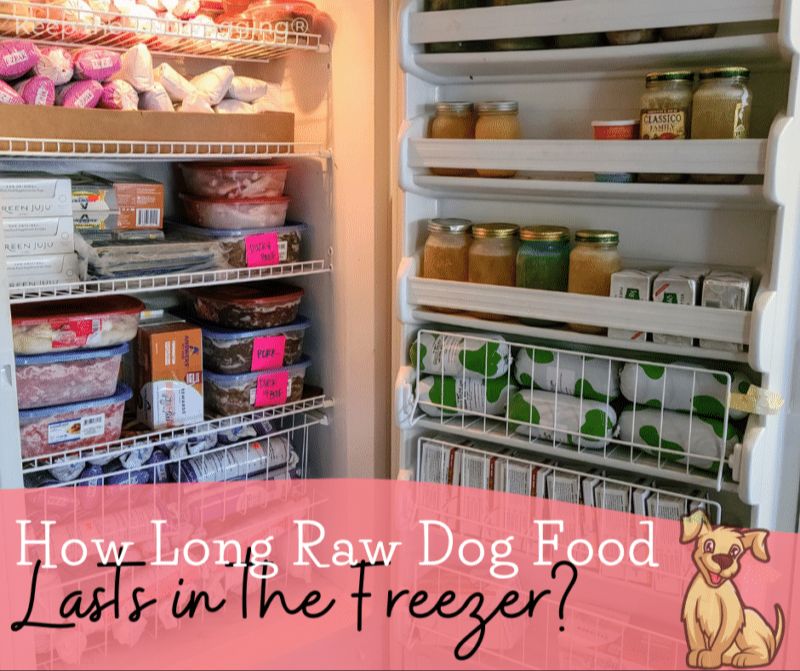 maximum frozen storage time for dry dog food